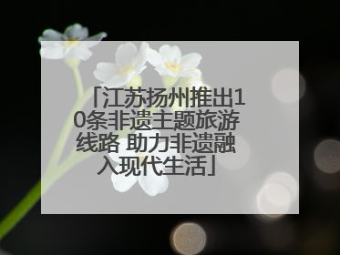 江苏扬州推出10条非遗主题旅游线路 助力非遗融入现代生活