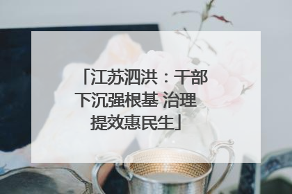 江苏泗洪：干部下沉强根基 治理提效惠民生
