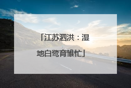 江苏泗洪：湿地白鹭育雏忙