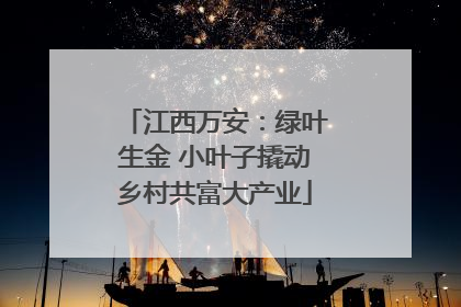 江西万安：绿叶生金 小叶子撬动乡村共富大产业