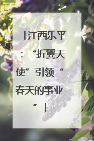 江西乐平：“折翼天使”引领“春天的事业”