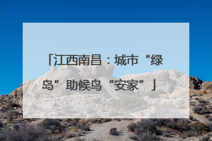 江西南昌：城市“绿岛”助候鸟“安家”