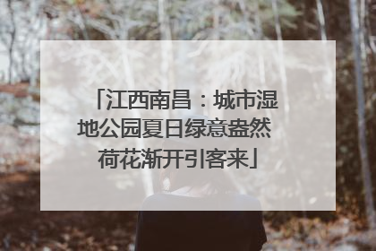 江西南昌：城市湿地公园夏日绿意盎然 荷花渐开引客来
