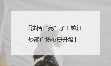 沈括“亮”了！镇江梦溪广场夜景升级
