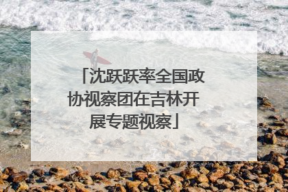 沈跃跃率全国政协视察团在吉林开展专题视察