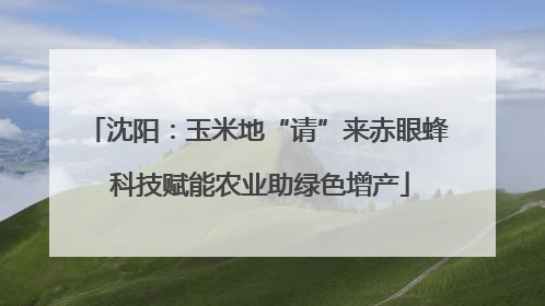 沈阳：玉米地“请”来赤眼蜂 科技赋能农业助绿色增产