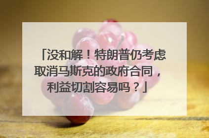 没和解！特朗普仍考虑取消马斯克的政府合同，利益切割容易吗？