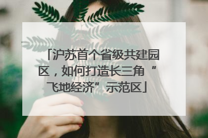 沪苏首个省级共建园区，如何打造长三角“飞地经济”示范区