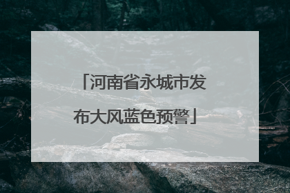 河南省永城市发布大风蓝色预警