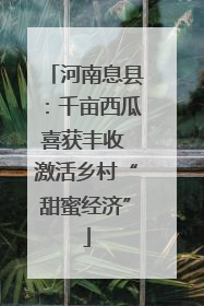 河南息县：千亩西瓜喜获丰收 激活乡村“甜蜜经济”