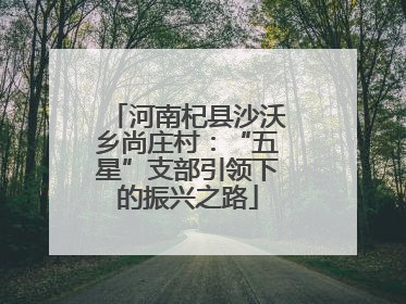 河南杞县沙沃乡尚庄村：“五星”支部引领下的振兴之路