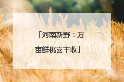河南新野：万亩鲜桃喜丰收