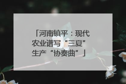河南镇平：现代农业谱写“三夏”生产“协奏曲”