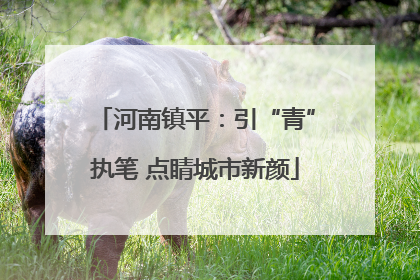 河南镇平：引“青”执笔 点睛城市新颜