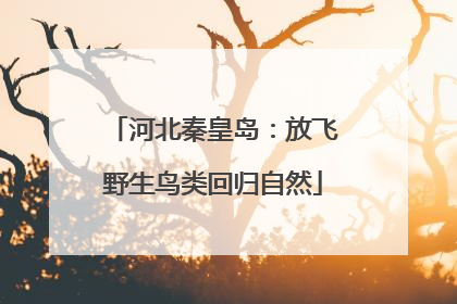 河北秦皇岛：放飞野生鸟类回归自然
