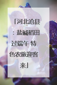 河北沧县：盐碱稻田过端午 特色农旅迎客来