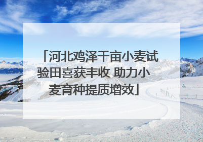 河北鸡泽千亩小麦试验田喜获丰收 助力小麦育种提质增效