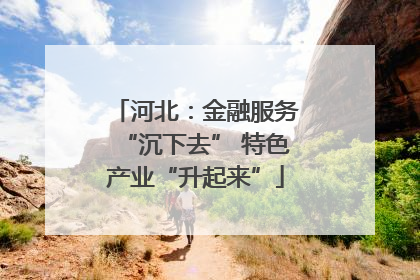 河北：金融服务“沉下去” 特色产业“升起来”