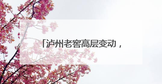 泸州老窖高层变动，履职十年董事离任