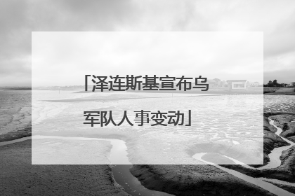 泽连斯基宣布乌军队人事变动