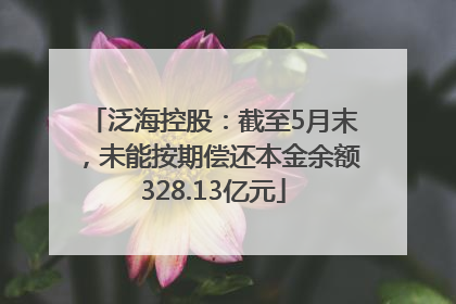 泛海控股：截至5月末，未能按期偿还本金余额328.13亿元