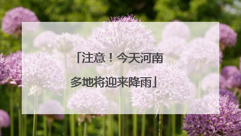 注意！今天河南多地将迎来降雨