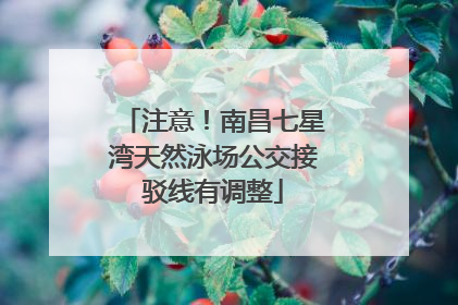 注意！南昌七星湾天然泳场公交接驳线有调整