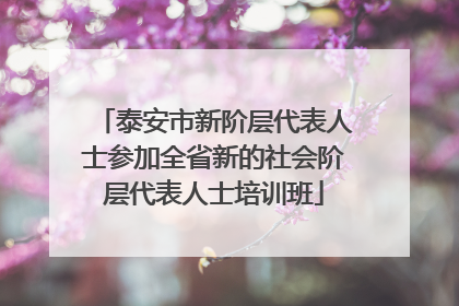泰安市新阶层代表人士参加全省新的社会阶层代表人士培训班