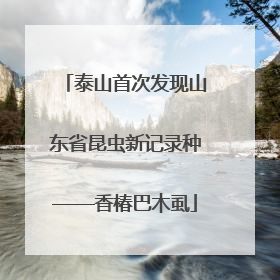 泰山首次发现山东省昆虫新记录种——香椿巴木虱