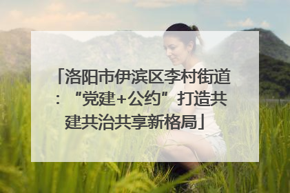 洛阳市伊滨区李村街道：“党建+公约”打造共建共治共享新格局