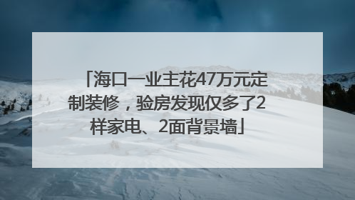 海口一业主花47万元定制装修，验房发现仅多了2样家电、2面背景墙