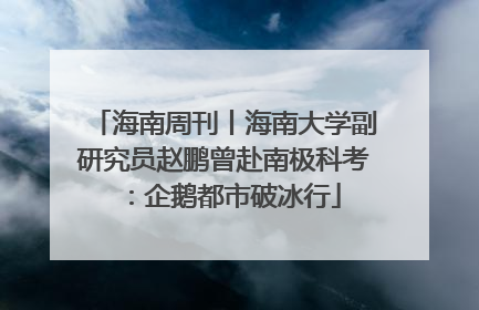 海南周刊丨海南大学副研究员赵鹏曾赴南极科考：企鹅都市破冰行