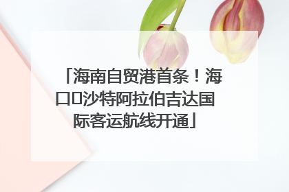 海南自贸港首条！海口⇌沙特阿拉伯吉达国际客运航线开通
