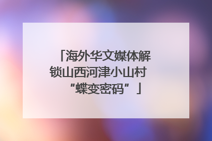 海外华文媒体解锁山西河津小山村“蝶变密码”
