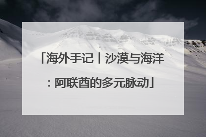 海外手记丨沙漠与海洋：阿联酋的多元脉动