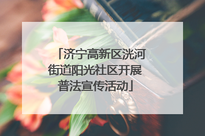 济宁高新区洸河街道阳光社区开展普法宣传活动