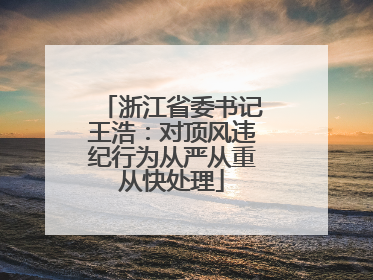 浙江省委书记王浩：对顶风违纪行为从严从重从快处理