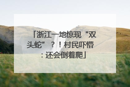 浙江一地惊现“双头蛇”？！村民吓懵：还会倒着爬