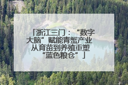 浙江三门：“数字大脑”赋能青蟹产业 从育苗到养殖重塑“蓝色粮仓”