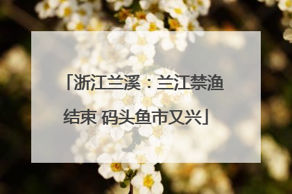 浙江兰溪：兰江禁渔结束 码头鱼市又兴