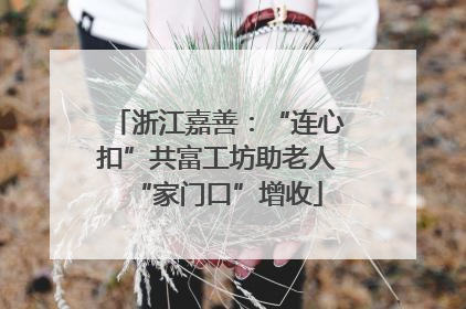 浙江嘉善：“连心扣”共富工坊助老人“家门口”增收