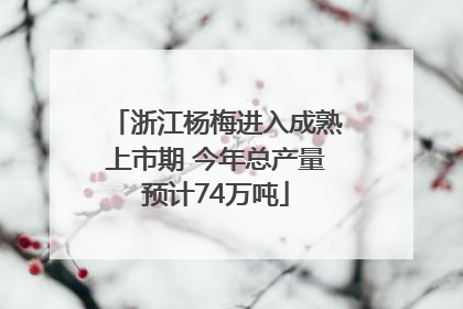 浙江杨梅进入成熟上市期 今年总产量预计74万吨