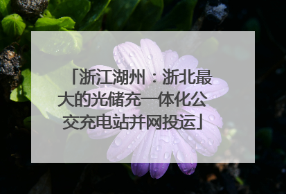 浙江湖州：浙北最大的光储充一体化公交充电站并网投运