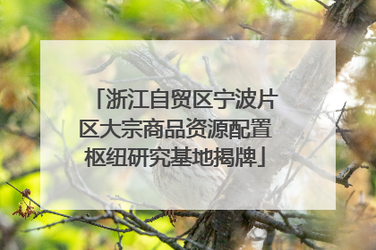 浙江自贸区宁波片区大宗商品资源配置枢纽研究基地揭牌