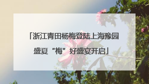 浙江青田杨梅登陆上海豫园 盛夏“梅”好盛宴开启