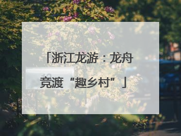 浙江龙游：龙舟竞渡“趣乡村”