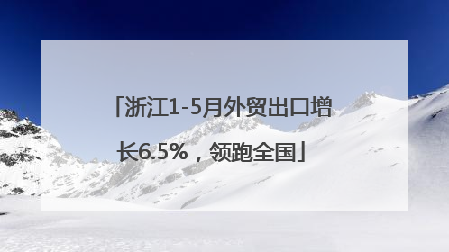 浙江1-5月外贸出口增长6.5%，领跑全国