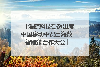 浩鲸科技受邀出席中国移动中资出海数智赋能合作大会