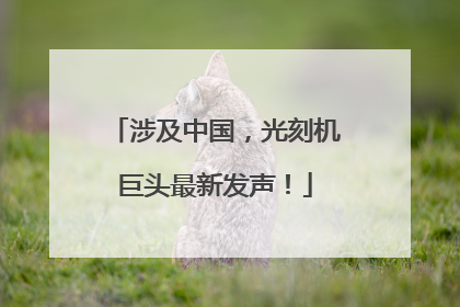 涉及中国，光刻机巨头最新发声！