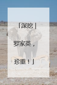深挖｜罗家英，珍重！